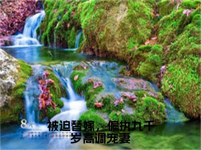 陆瑾瑜庭覆（被迫替嫁，偏执九千岁高调宠妻）新上热文免费阅读-陆瑾瑜庭覆（被迫替嫁，偏执九千岁高调宠妻）无广告在线阅读