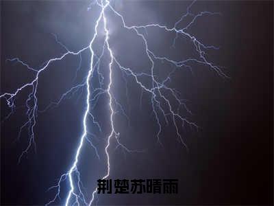 荆楚苏晴雨（苏晴雨荆楚）全文完整版免费阅读_荆楚苏晴雨最新章节列表_笔趣阁（苏晴雨荆楚）