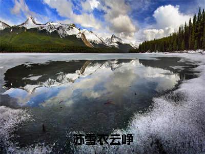 小说苏雪衣云峥（苏雪衣云峥全文免费阅读）完结阅读_苏雪衣云峥全文免费阅读免费看全文