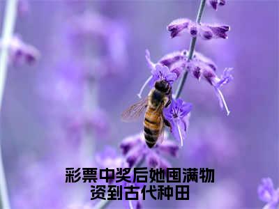 祝青山李溪小说最后结局-彩票中奖后她囤满物资到古代种田完结版免费阅读