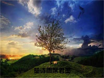 楚诗雨席君墨（席君墨楚诗雨）全文免费阅读无弹窗大结局_楚诗雨席君墨全文在线阅读无弹窗