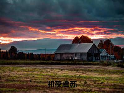 虞苏祁夜（祁夜虞苏）小说免费阅读_虞苏祁夜精选小说全文阅读（祁夜虞苏）