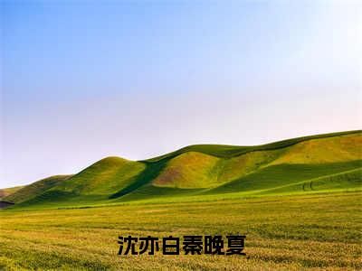 沈亦白秦晚夏（沈亦白秦晚夏）全文阅读无弹窗大结局_沈亦白秦晚夏免费阅读无弹窗最新章节列表