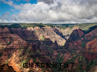 小说（这绿茶女配我不当了）_陆薇茶黎野全文阅读_小说这绿茶女配我不当了免费阅读（陆薇茶黎野）笔趣阁