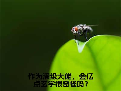 作为满级大佬，会亿点玄学很奇怪吗？（向飞辰景亦星）全文免费阅读无弹窗大结局_（向飞辰景亦星）的小说（作为满级大佬，会亿点玄学很奇怪吗？）最新章节列表