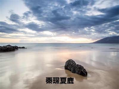 秦琛夏鹿（夏鹿秦琛）全文小说-秦琛夏鹿小说最新章节免费阅读