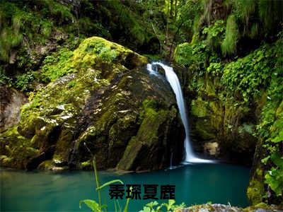 小说（秦琛夏鹿）夏鹿秦琛全文阅读_小说秦琛夏鹿免费阅读（夏鹿秦琛）笔趣阁