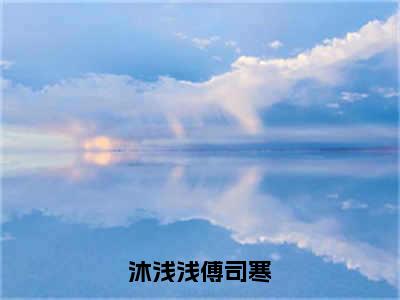 沐浅浅傅司寒全文免费阅读大结局傅司寒沐浅浅最新章节列表