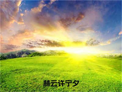 林云许宁夕（许宁夕林云）全文免费阅读无弹窗大结局_林云许宁夕最新章节列表（许宁夕林云）