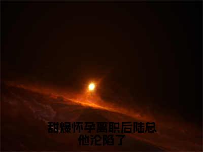 甜爆怀孕离职后陆总他沦陷了小说全文-甜爆怀孕离职后陆总他沦陷了（林宜陆砚南）最新章节免费阅读