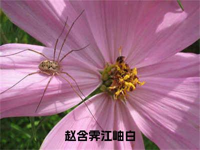 赵含霁江岫白（赵含霁江岫白）全文免费阅读大结局_赵含霁江岫白最新章节列表_笔趣阁