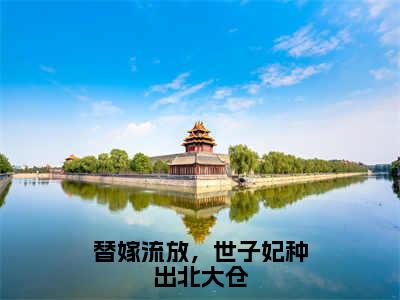 替嫁流放，世子妃种出北大仓（桑枝夏徐璈小说）全文免费阅读无弹窗大结局_桑枝夏徐璈完整版小说阅读