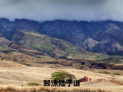 陆子谦黎沫（黎沫陆子谦）全文免费阅读无弹窗_黎沫陆子谦最新小说