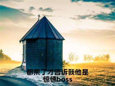 宋雪瑶林辰安（都亲了才告诉我他是惊悚boss）全文免费阅读无弹窗大结局_都亲了才告诉我他是惊悚boss最新章节列表_笔趣阁