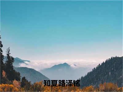 路泽铭知夏（知夏路泽铭）在线阅读小说全文无删减-知夏路泽铭小说大结局