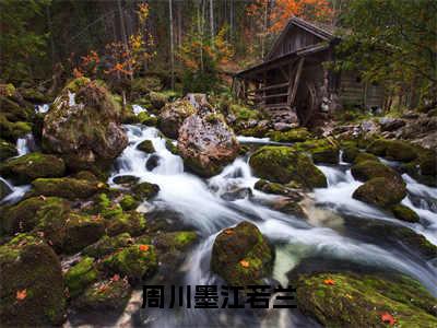 周川墨江若兰（江若兰周川墨）全文完整版免费阅读-主角叫江若兰周川墨的小说周川墨江若兰