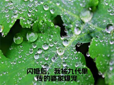 慕靖城林冬冬为慕靖城林冬冬的小说叫什么-最新小说闪婚后，我被九代单传的婆家爆宠全文阅读