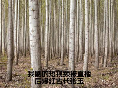 我刷的短视频被直播后爆红古代张玉（张玉）免费阅读最新章节无弹窗张玉完整版小说在线阅读