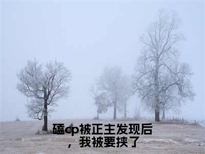 （磕cp被正主发现后，我被要挟了）桑榆全文免费阅读无弹窗完整版_桑榆小说全文免费阅读