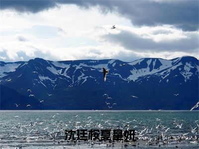 沈廷桉夏星妍小说最新试读_沈廷桉夏星妍是（沈廷桉夏星妍全文完整版免费阅读）_笔趣阁