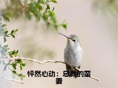 怦然心动：总裁的蛮妻（ 陆行洲）全文免费阅读无弹窗大结局_ 陆行洲_笔趣阁