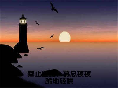 禁止逃跑，慕总夜夜跪地轻哄（阮星时慕霖霄）全文免费阅读无弹窗_禁止逃跑，慕总夜夜跪地轻哄最新小说_笔趣阁