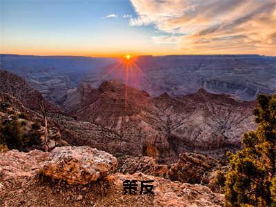 策反全文免费阅读郁墨淮檀蜜章节免费阅读