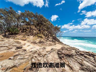 江池欢谢淮景（谢淮景江池欢）免费全文阅读小说_江池欢谢淮景最新章节列表-笔趣阁（谢淮景江池欢）