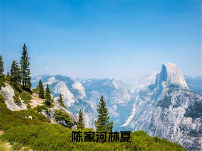 林夏陈家河小说（陈家河林夏）免费阅读_林夏陈家河小说免费阅读-笔趣阁