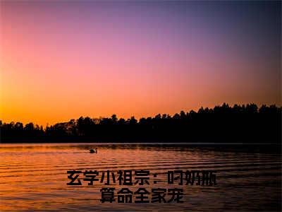 沈知音全文免费大结局-玄学小祖宗：叼奶瓶算命全家宠结局在线阅读