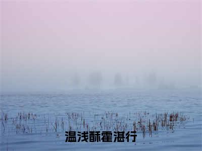 霍湛行温浅酥（温浅酥霍湛行）全文免费阅读无弹窗大结局_（霍湛行温浅酥小说全文免费阅读）最新章节列表