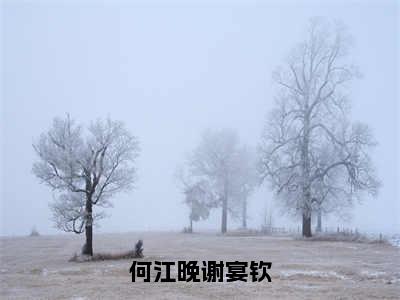 何江晚谢宴钦（何江晚谢宴钦）全文免费读无弹窗大结局_（何江晚谢宴钦免费小说）何江晚谢宴钦无弹窗最新章节列表