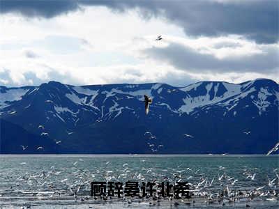 许北希顾辞晏（许北希顾辞晏）全文免费阅读无弹窗_顾辞晏许北希小说免费阅读_笔趣阁