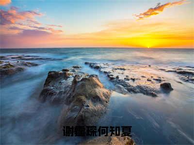 谢霆琛何知夏小说免费阅读无弹窗-谢霆琛何知夏（何知夏谢霆琛）小说免费阅读无弹窗大结局