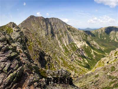 谢菱顾危小说免费阅读（顾危谢菱）全文免费阅读大结局-（谢菱顾危小说免费阅读）好书推荐