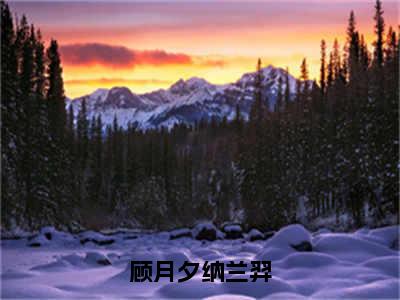 顾月夕纳兰羿免费阅读无弹窗大结局-顾月夕纳兰羿（最新全章节大结局）全文阅读