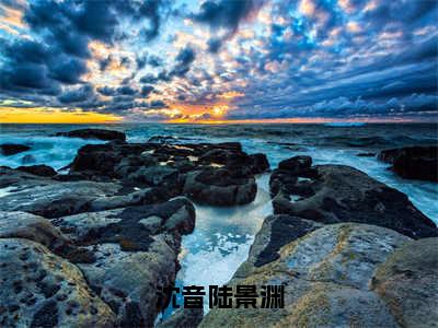 沈音陆景渊（沈音陆景渊）小说最新章节在线阅读-沈音陆景渊（沈音陆景渊）已完结全集大结局