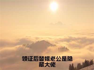 领证后替嫁老公是隐藏大佬（依欣然狄霆深）全文免费阅读大结局_领证后替嫁老公是隐藏大佬最新章节列表_笔趣阁