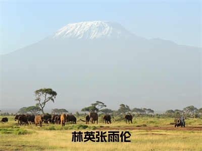 林英张雨伦（张雨伦林英）免费全文阅读小说_林英张雨伦最新章节列表-笔趣阁（张雨伦林英）