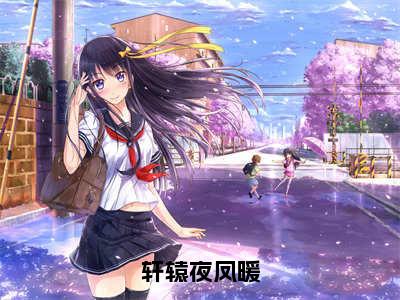 轩辕夜凤暖（凤暖轩辕夜全章节完整版）免费阅读-轩辕夜凤暖全文无删减阅读