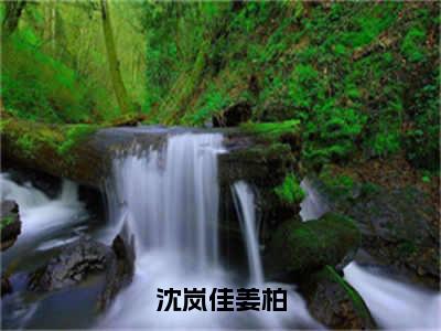 沈岚佳姜柏（姜柏沈岚佳）免费阅读-（姜柏沈岚佳）最新章节小说全文在线阅读