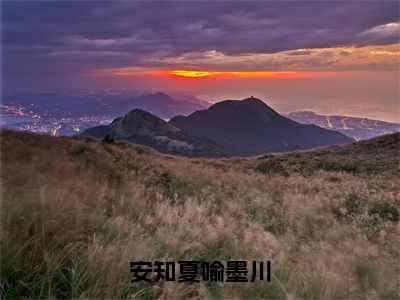 《安知夏喻墨川》安知夏喻墨川（大结局小说全集完整版）安知夏喻墨川小说_安知夏喻墨川全文阅读笔趣阁