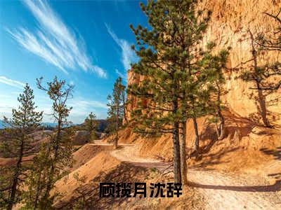 沈辞顾沈辞（顾揽月沈辞）女生必看小说全集_顾揽月沈辞（沈辞顾沈辞）全文免费阅读