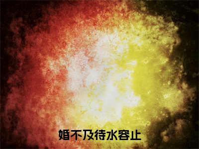 水容止全文免费阅读大结局婚不及待水容止最新章节列表