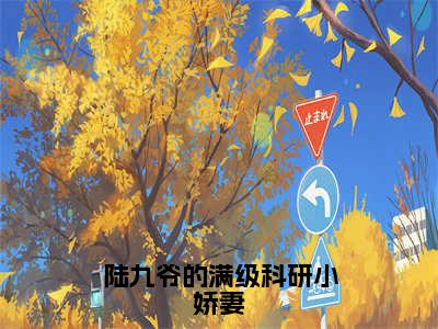 陆九爷的满级科研小娇妻（陆烨姜语）全文免费阅读无弹窗_陆九爷的满级科研小娇妻（陆烨姜语）全文阅读-笔趣阁