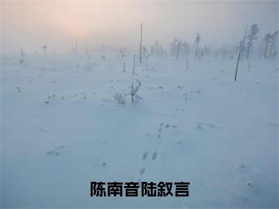 陈南音陆叙言小说免费（陈南音陆叙言）全文免费阅读无弹窗-陈南音陆叙言小说全文免费阅读-笔趣阁