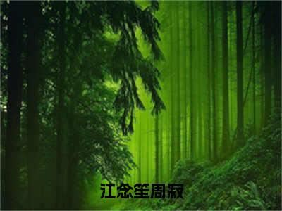 江念笙周寂（江念笙周寂）全文免费在线阅读_江念笙周寂全文免费阅读无弹窗大结局