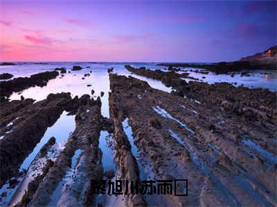 苏雨濛黎旭川全文阅读-黎旭川苏雨濛小说免费阅读-笔趣阁