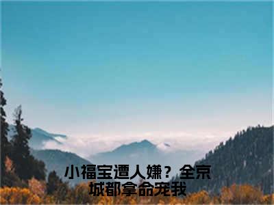 【新书】《小福宝遭人嫌？全京城都拿命宠我》全文免费阅读最新章节大结局-岁岁全文全章节免费阅读