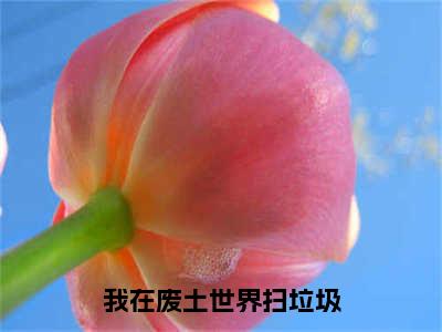 我在废土世界扫垃圾（祝宁）全文免费阅读无弹窗大结局_祝宁最新章节列表